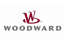 zabezpieczenia generatorów: Woodward-SEG